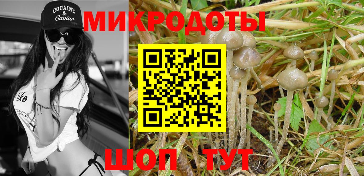 Псилоцибиновые грибы GOLDEN TEACHER  Галлюциногенные грибы GOLDEN TEACHER  Гусиноозёрск  Вход с VPN 